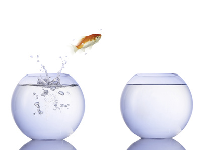 take the leap