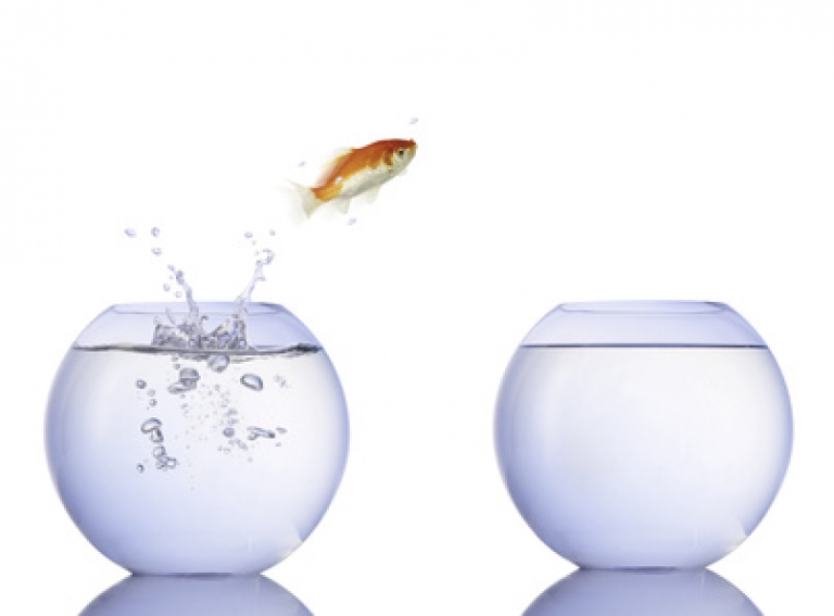 take the leap